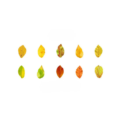 Fallen Leaves Washi Tape