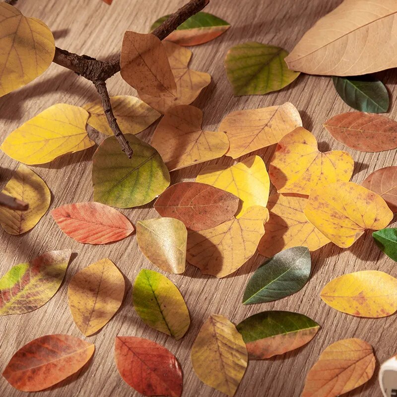 Fallen Leaves Washi Tape