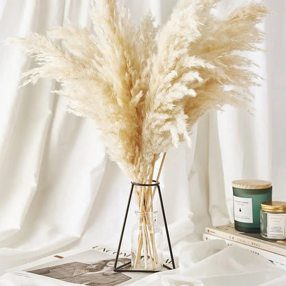 NATURAL DRY PAMPAS BOUQUET